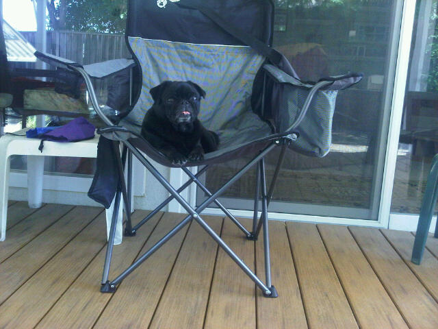 Obie in camp chair