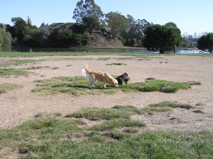 Shelby and Maggie checking it out