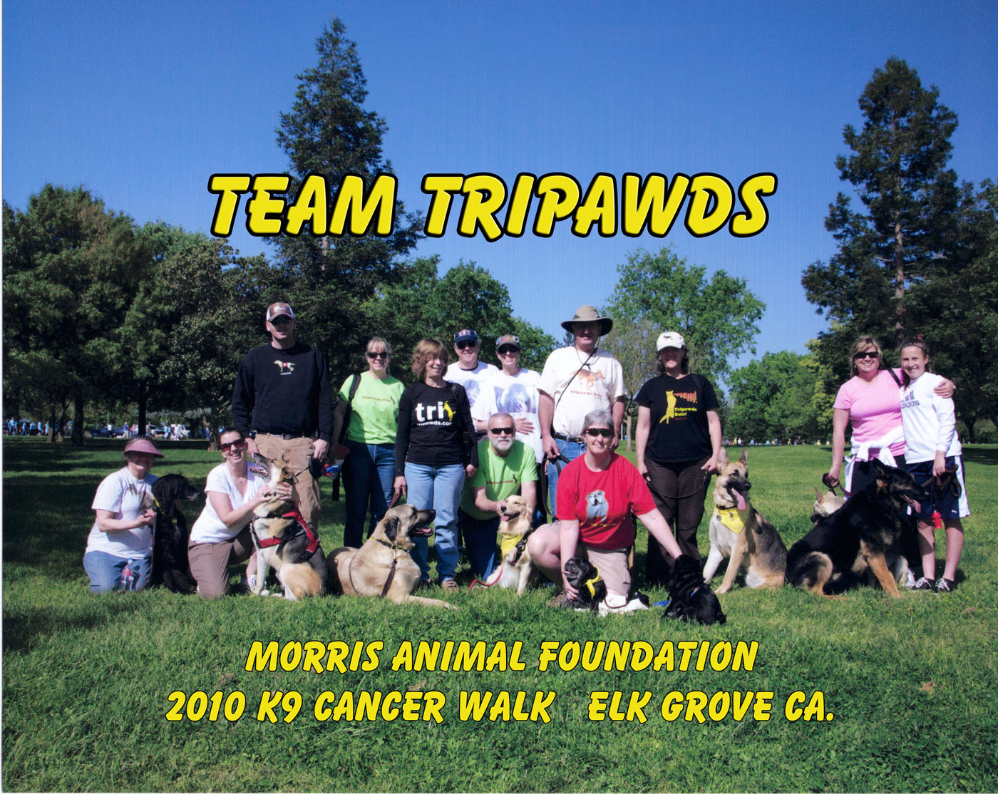 Team Tripawds, walk, dog, cat, cancer, support, amputee, three-legged