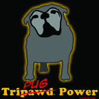 Tripug power