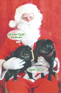 Pug xmas 2012 final copy